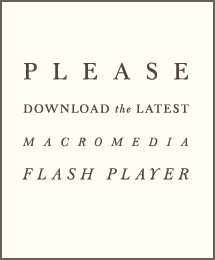 Please Download Flash